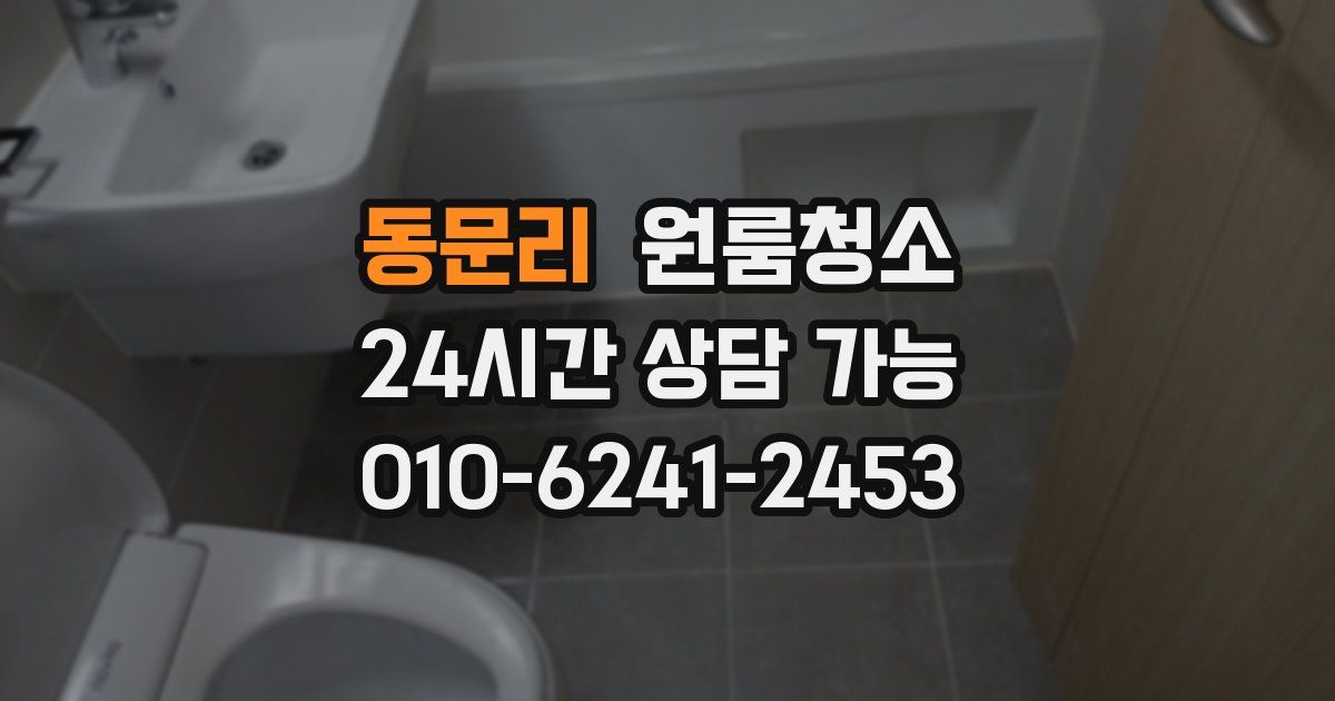 동문리 입주청소