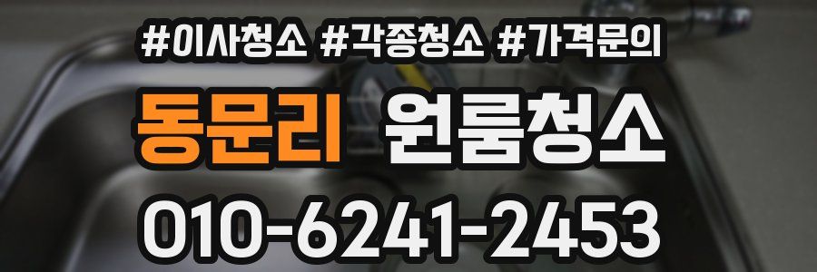 동문리 이사청소