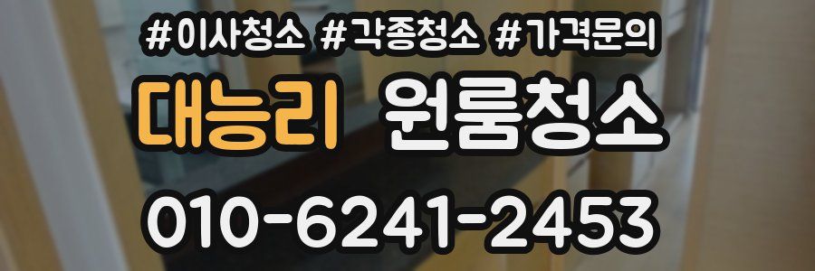 대능리 이사청소