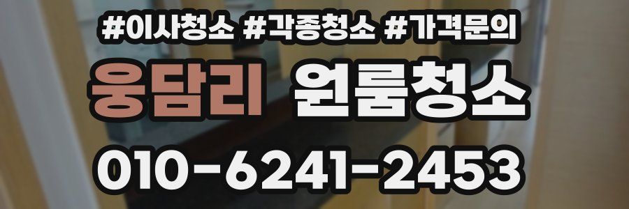 웅담리 이사청소