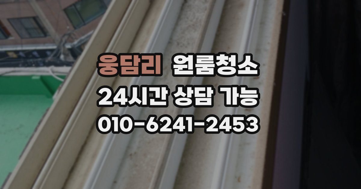 웅담리 입주청소