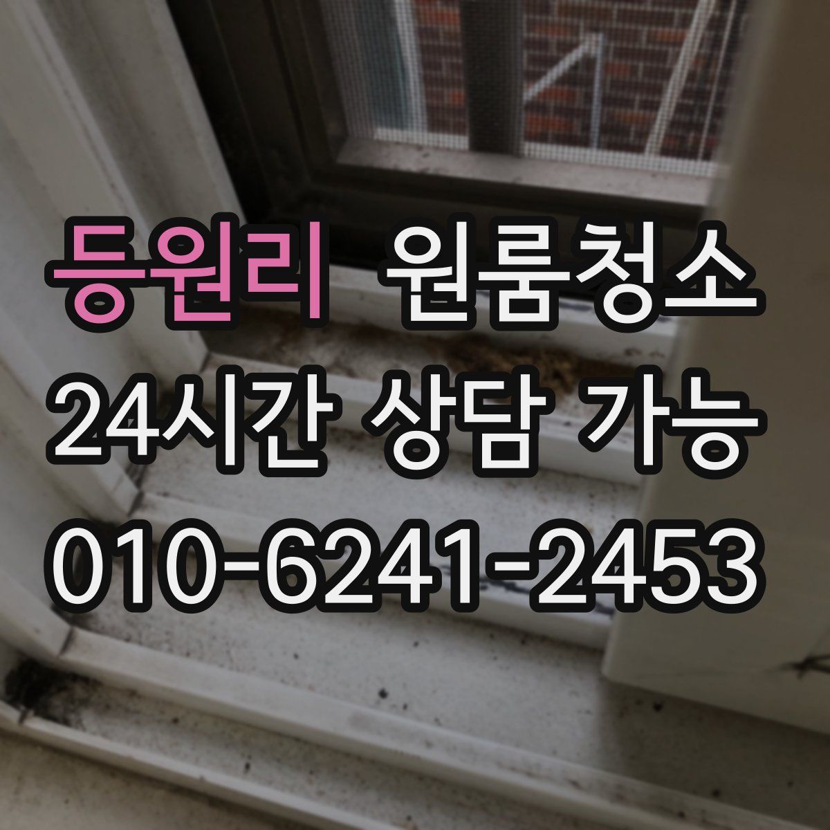 등원리 원룸청소