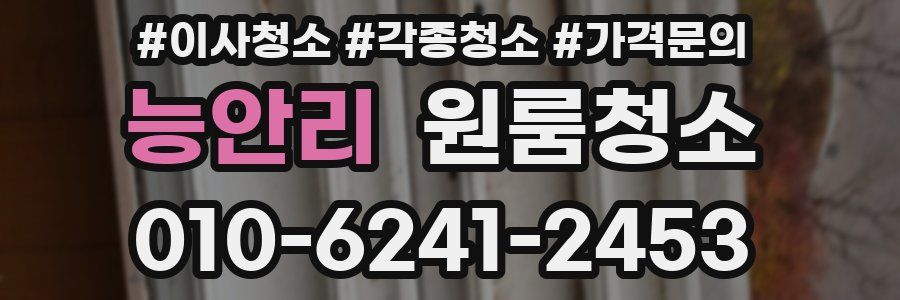 능안리 이사청소