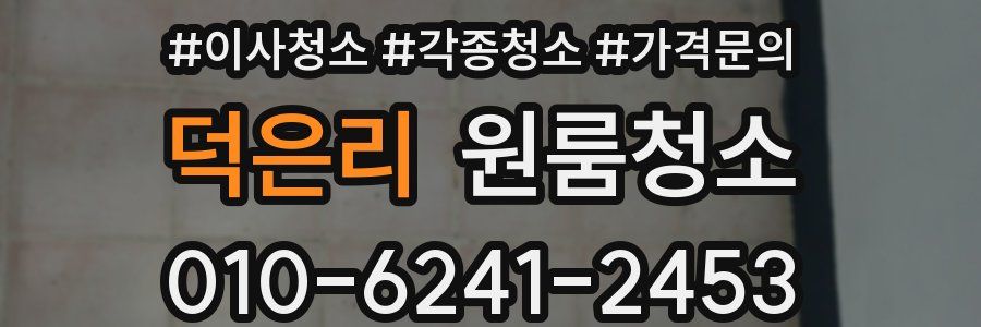 덕은리 이사청소