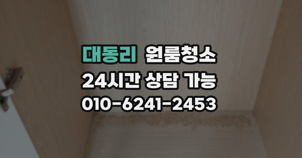 대동리 입주청소