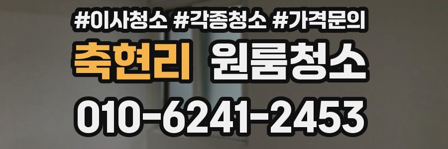 축현리 이사청소