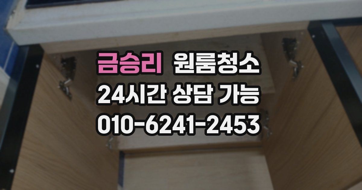 금승리 입주청소