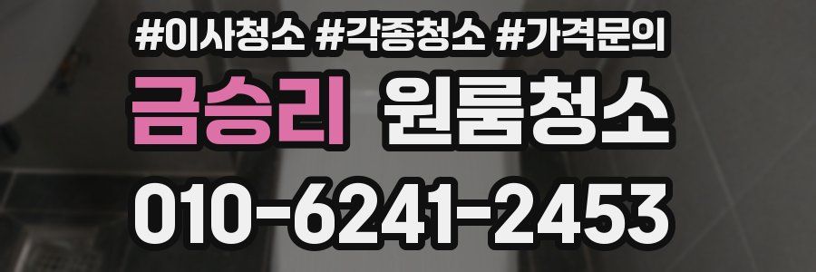 금승리 이사청소