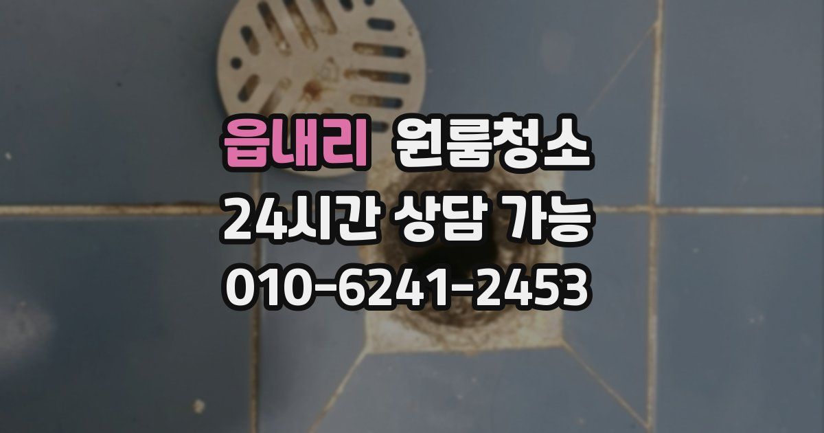 읍내리 입주청소