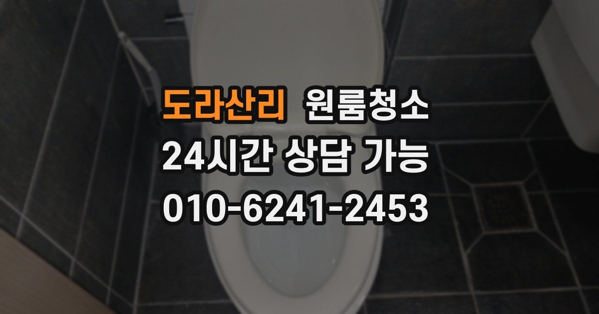 도라산리 입주청소