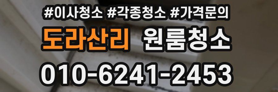 도라산리 이사청소