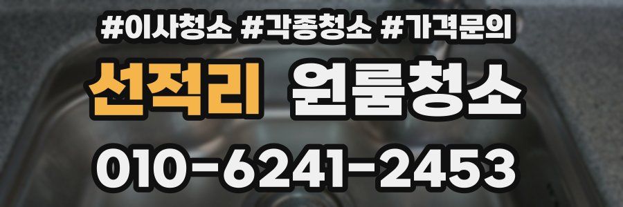 선적리 이사청소