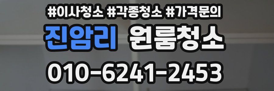 진암리 이사청소