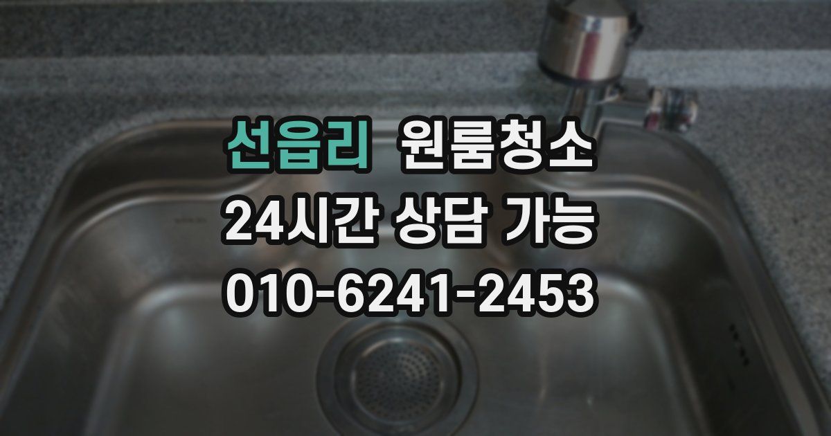 선읍리 입주청소