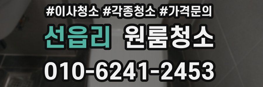 선읍리 이사청소