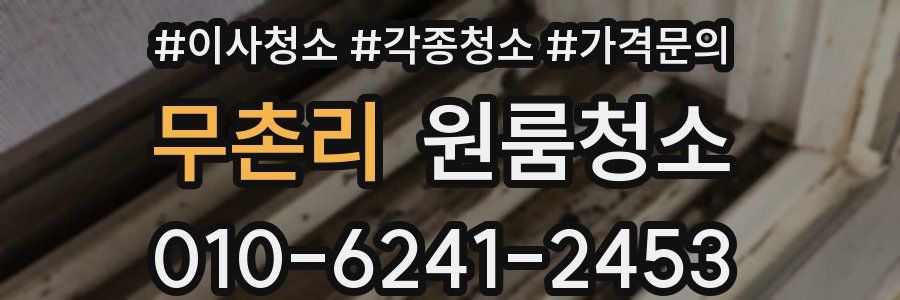 무촌리 이사청소