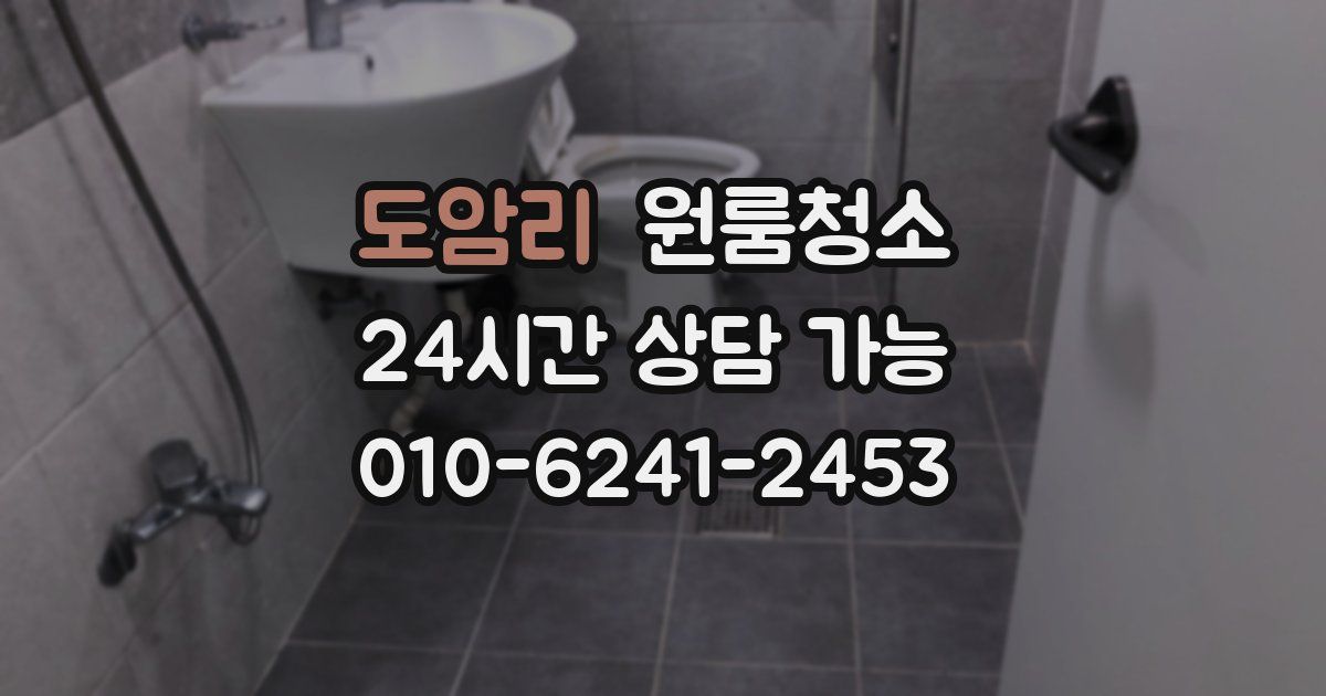 도암리 입주청소