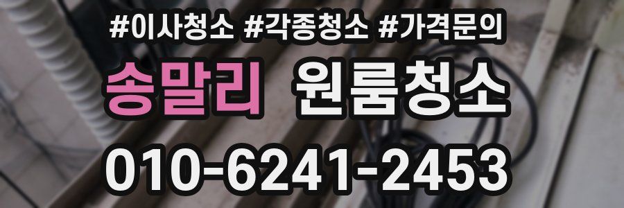 송말리 이사청소