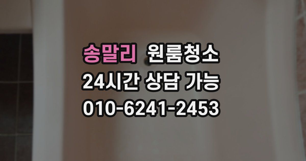 송말리 입주청소