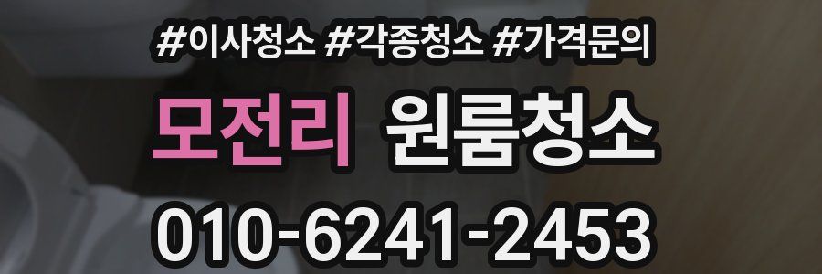 모전리 이사청소