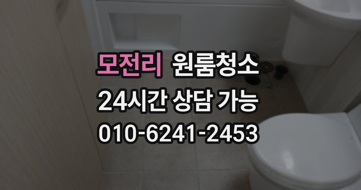 모전리 입주청소