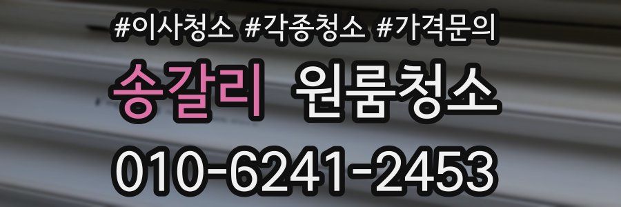 송갈리 이사청소