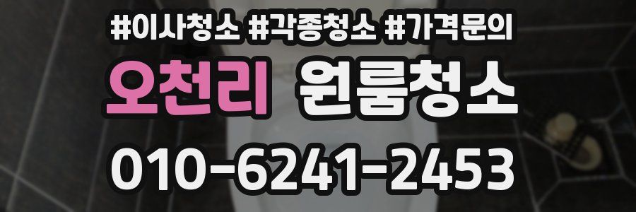 오천리 이사청소