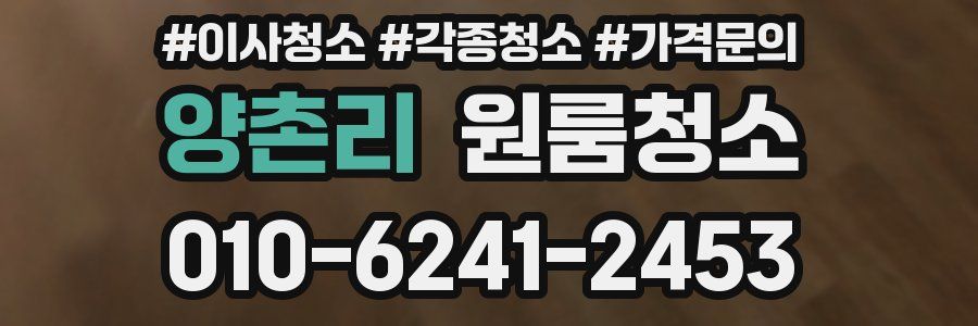 양촌리 이사청소