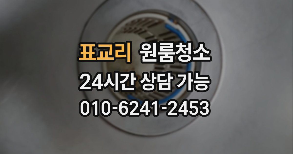 표교리 입주청소