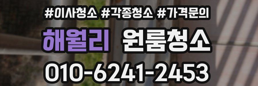 해월리 이사청소