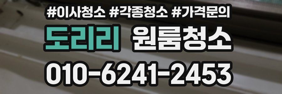 도리리 이사청소