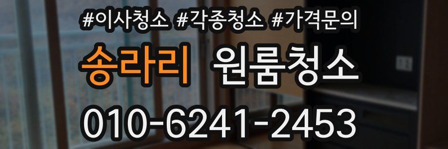 송라리 이사청소