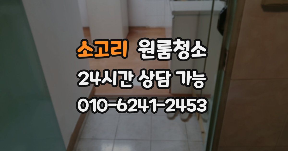 소고리 입주청소
