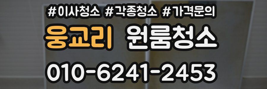 웅교리 이사청소