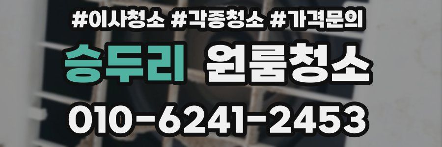 승두리 이사청소