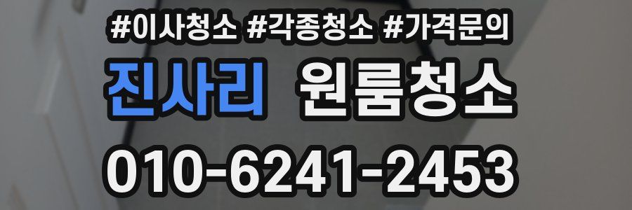 진사리 이사청소