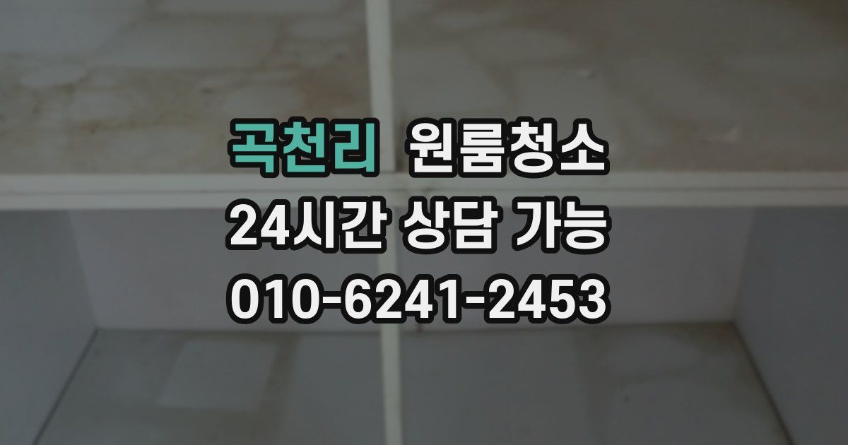 곡천리 입주청소
