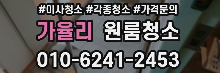 가율리 이사청소