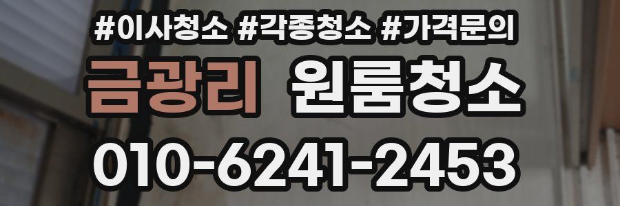 금광리 이사청소