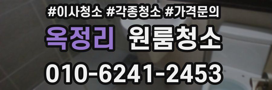 옥정리 이사청소