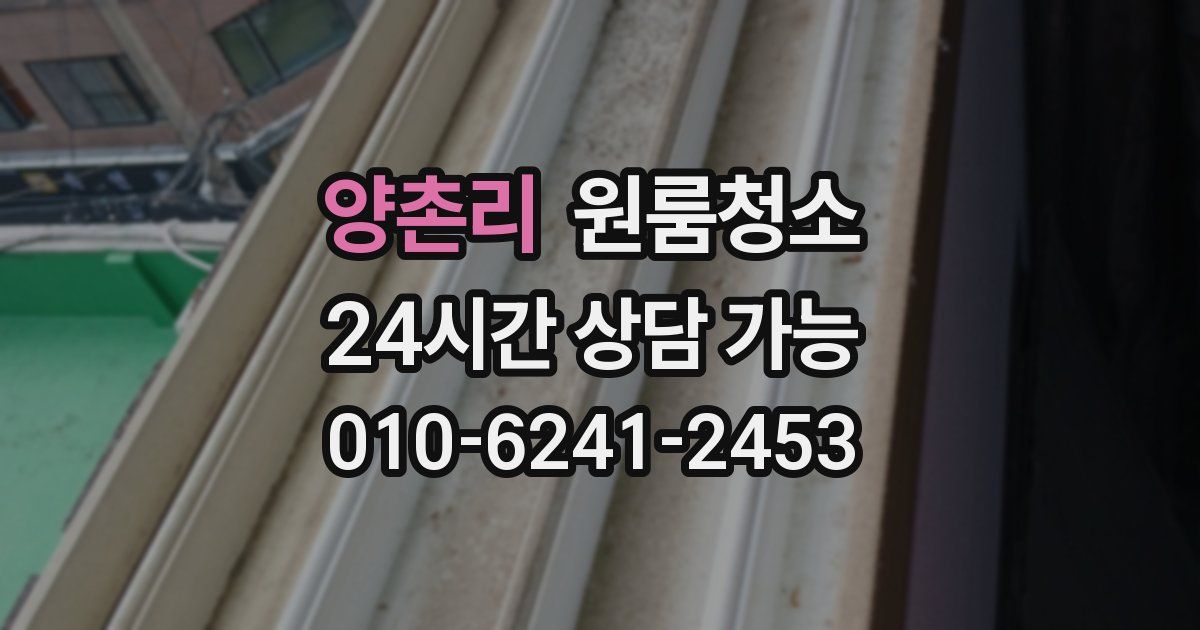 양촌리 입주청소