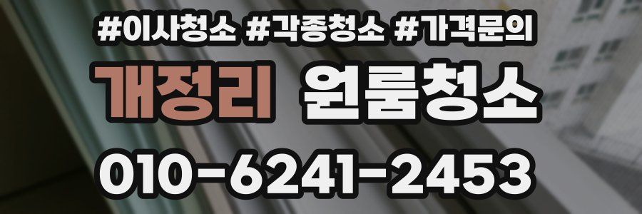 개정리 이사청소