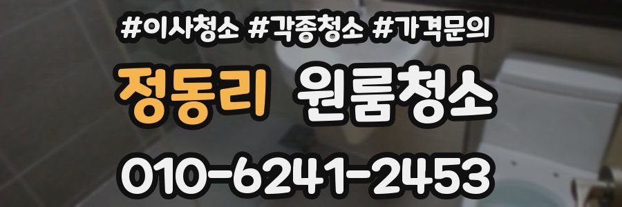 정동리 이사청소