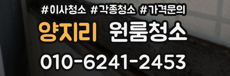 양지리 이사청소