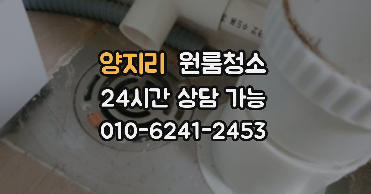 양지리 입주청소