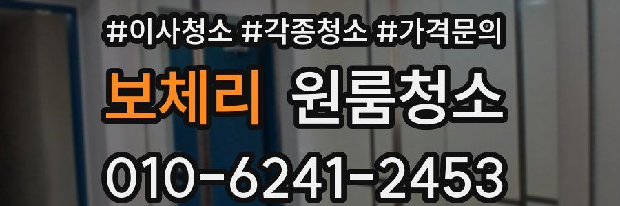 보체리 이사청소