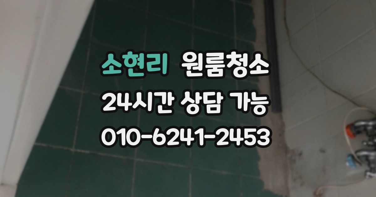 소현리 입주청소