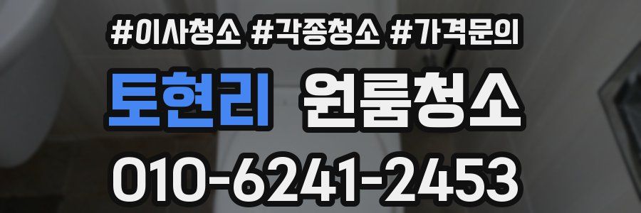 토현리 이사청소