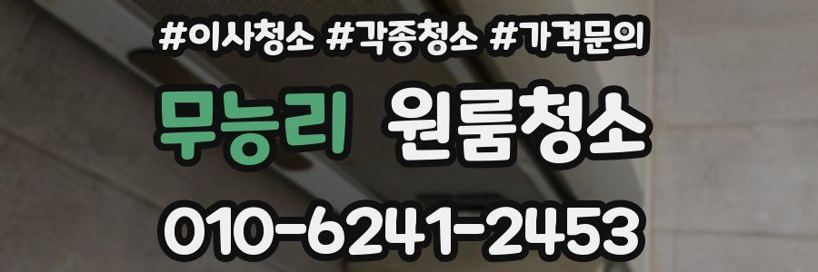 무능리 이사청소