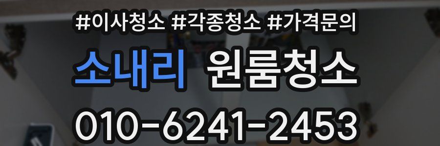 소내리 이사청소